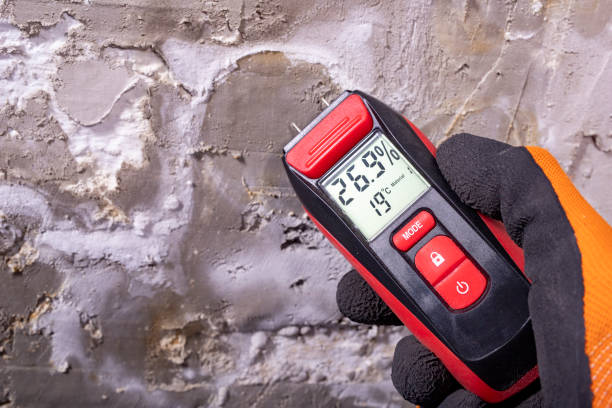 Best Black Mold Removal  in Wona Lake, IN