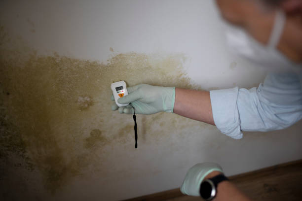 Best Commercial Mold Removal  in Wona Lake, IN