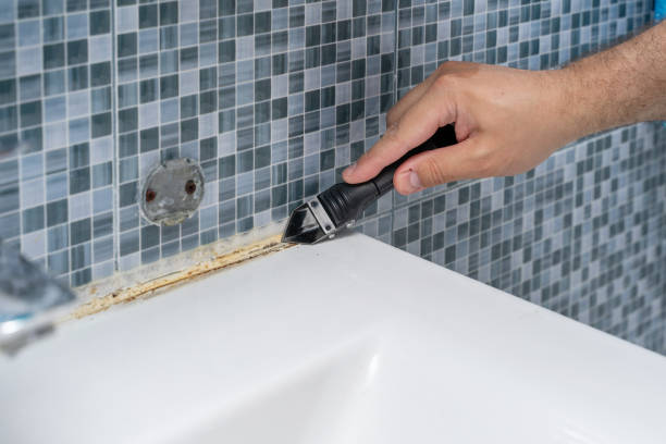Trusted Winona Lake, IN Mold Removal Experts