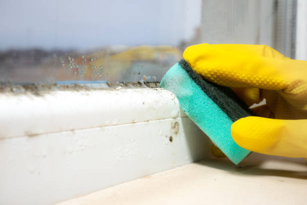 Best Professional Mold Removal  in Wona Lake, IN