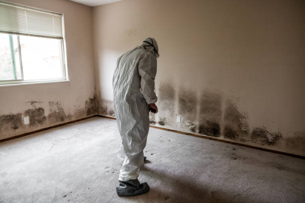 Water Damage Restoration in Winona Lake, IN