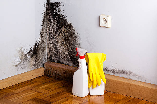 Best Mold Cleaning Services  in Wona Lake, IN